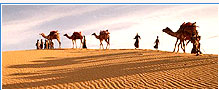 Desert Safari, Rajasthan Tour Packages, Aargee Tours