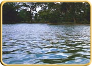 Ulsoor Lake, Bangalore, Karnataka Tourism