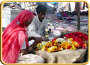Flower Shop in Jaipur