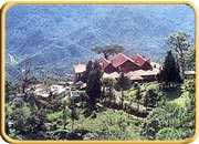 Kasauli, Himachal Pradesh Tourism