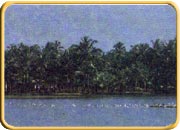 Kozhikode Backwaters, Kerala