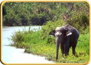 Neyyar wildlife Sanctuary, Kerala Tourism