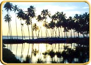 Thirumullavaram Beach, Kerala Travel Packages