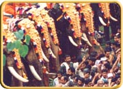 Thrissur Pooram, Festival of Kerala, Kerala Travel Guide