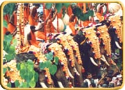  Kollam (Quilon) Festival, Kerala Tourism