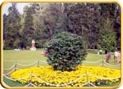Ooty Garden, Tamilnadu Tourism
