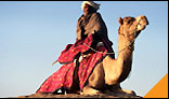 Camel Safari in Rajasthan,Rajasthan Tours & Travel