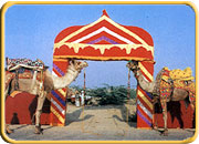 Fairs In Rajasthan, India