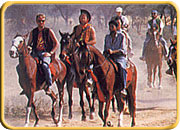 Horse Safari, Rajasthan