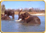 Indira Gandhi Wildlife Sanctuary and National Park, Tamilnadu Tourism