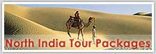 Luxury Holiday Packages Tour India