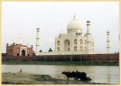 Taj Mahal, Agra Golden  Triangle Tour