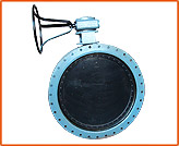 Butterfly Valve -Double Eccentric