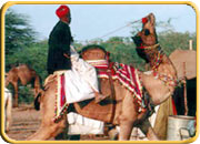 Rajasthan's people 