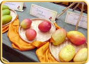 Mango Festival, Tamilnadu Tourism 